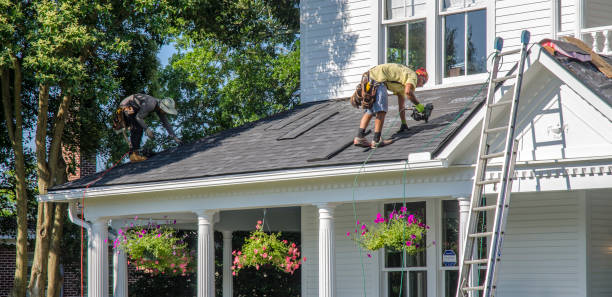 Best Chimney Flashing Repair  in Flora, MS